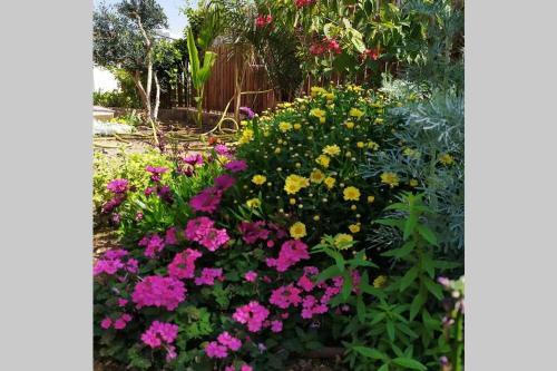Apartamento Eilat Stone - Patio ??? ???? - ????