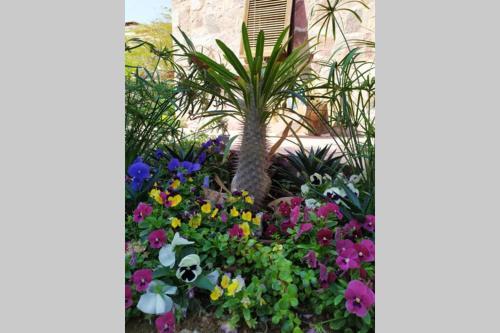 Apartamento Eilat Stone - Patio ??? ???? - ????