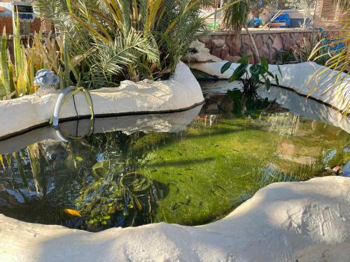 Apartamento Oasis Classic