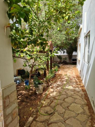 Apartamento ????? ????? ????? ??????