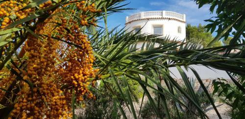 Villa Casa Del Sol
