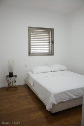 Apartamento ???? ???? ????? ???? ????? ????? ???? ??? ?????!