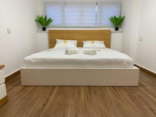 Apartamento Rousso?s House