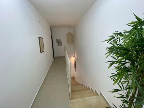 Duplex Abraham Avinu