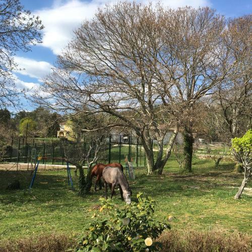 Lodge Finca Briab�