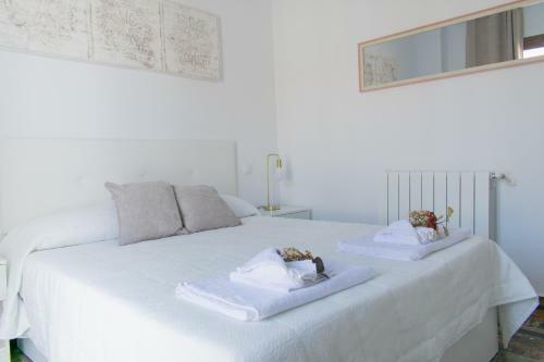Apartamentos Cerezo