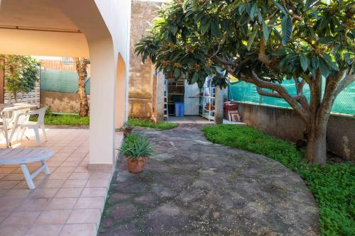 The Orange Lemon Tree House