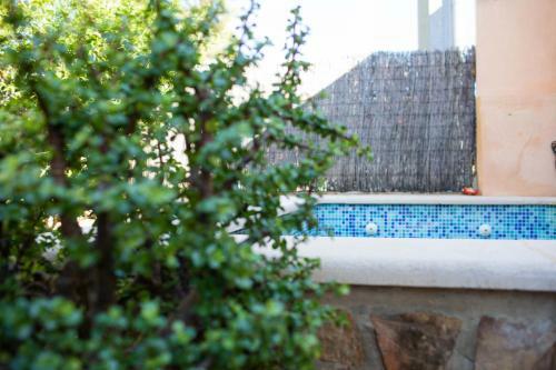 The Orange Lemon Tree House