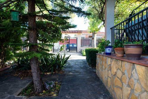 The Orange Lemon Tree House