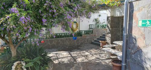 Hostal Casa Ramon B&B