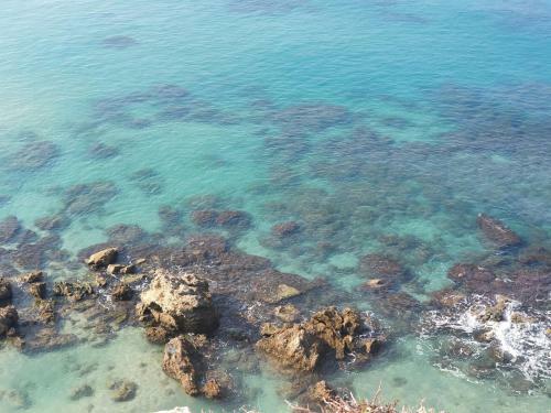 Apartamento Lotus Beach House