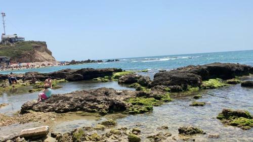 Hostal Mediterranean Inn Gavish ??? ??? ?????? ????