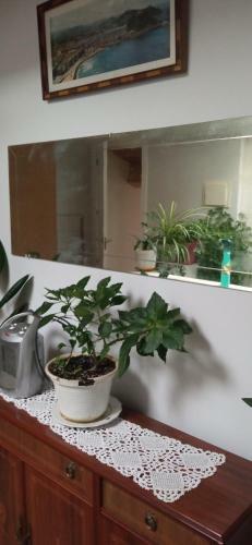 Apartamento �tico