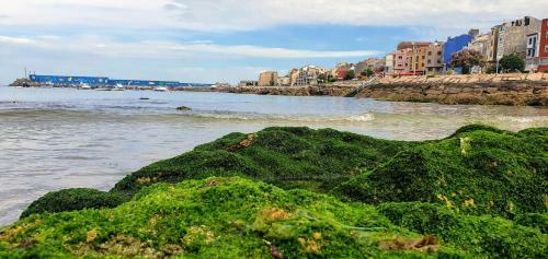 Apartamento Dique Guardes