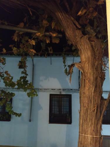 Casa De La Parra