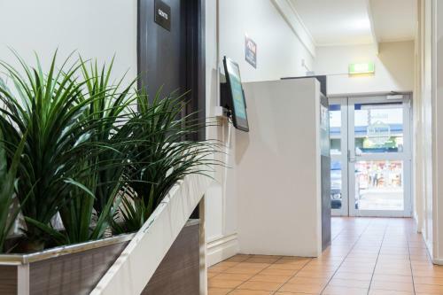 Federal Hotel Mt Gambier