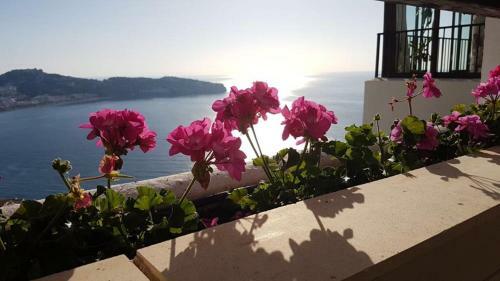 Casa Del Mediterr�neo