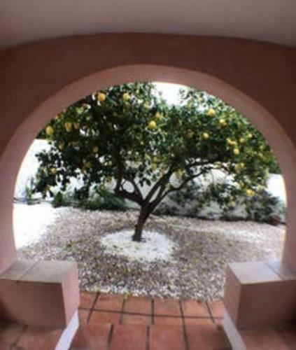 Mexican Caribbean Inspired Villa La Herradura Es