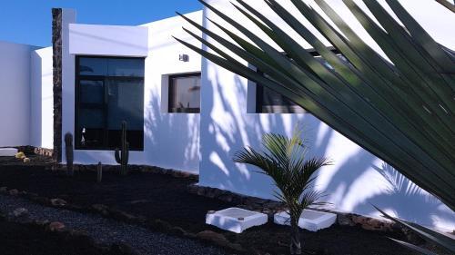 Villa Casa Zen, Design, Swimming-pool, Fibre-internet