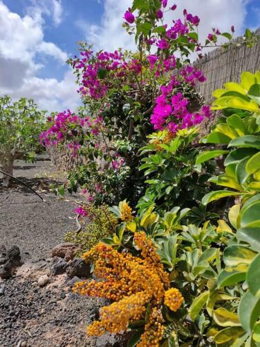 Casa Yukka Villa With Heated Pool