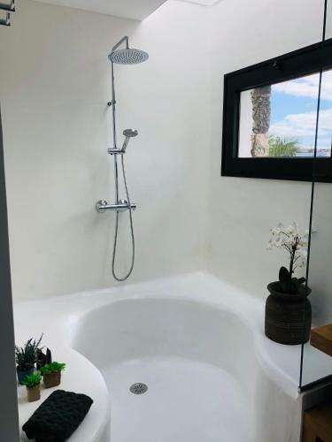 Hostal Villa Shepherd