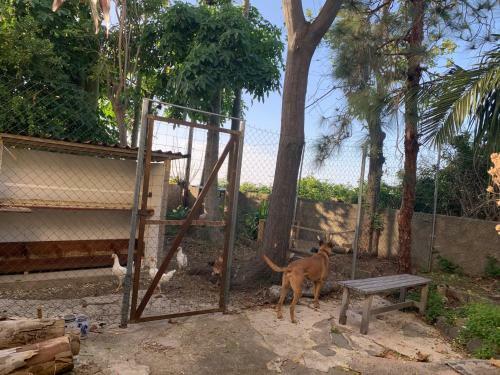 Apartamento Ferienwohnung Finca Monica