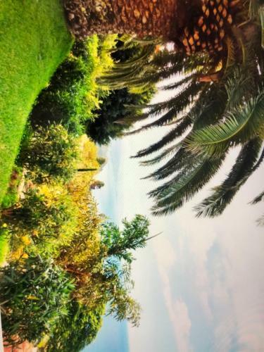 Apartamento Renovierte Traumwohnung Mit Blick Auf Den Atlantik