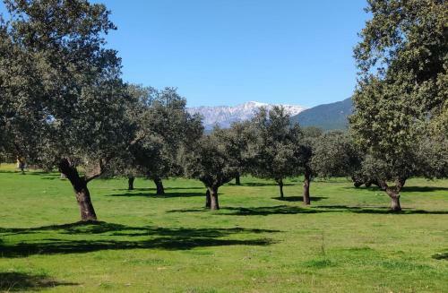 Casa En El Valle Del Tietar