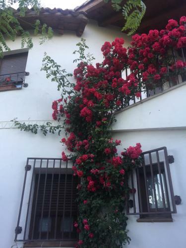 Lodge Casa Rural - Al Alba