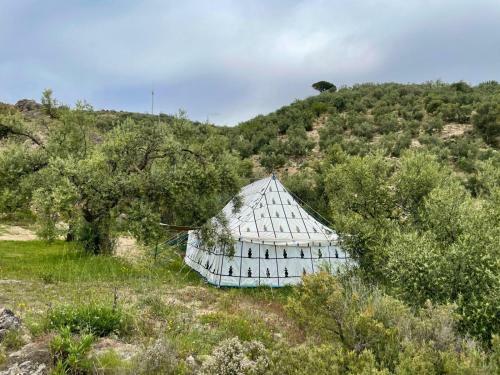 Cortijo Samadhi