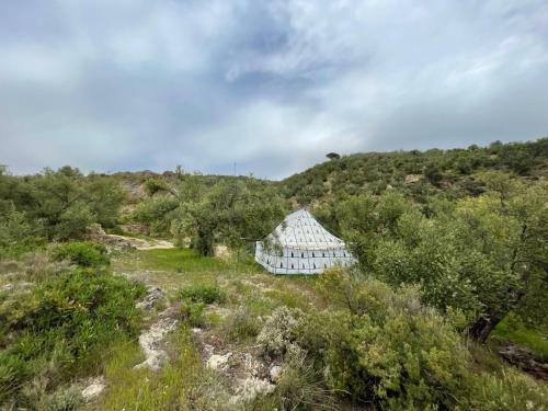 Cortijo Samadhi