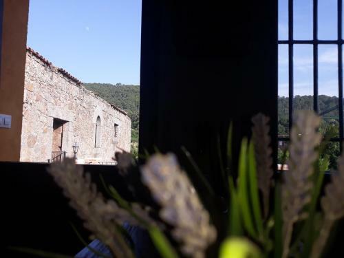 Casa La Almazara