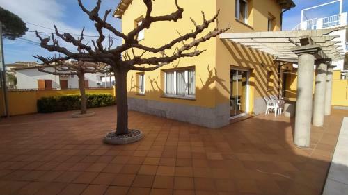 Sant Briu