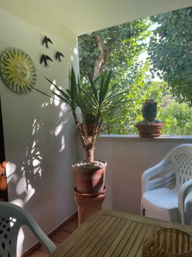 Apartamento R�sidence Cala Montgo