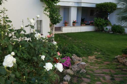 Apartamento Gavines