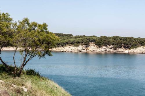 Apartamento Pie De Playa-wifi Free