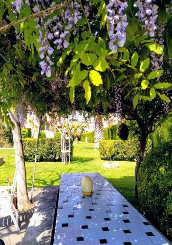 Apartamento Stil Mar & Jardin 300 Metros Del Mar