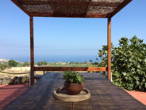 Finca La Plantaci�n _agroturismo