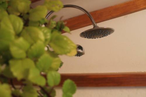 Finca La Plantaci�n _agroturismo