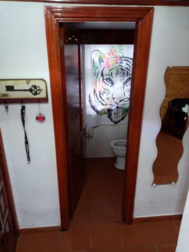 Casa Anaelia