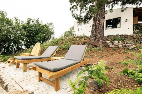 Villa El Pino Centenario 8