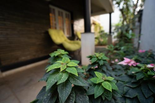 Luho (luxury Homes)