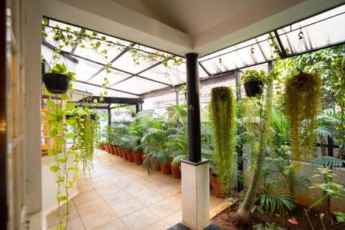 Luho (luxury Homes)