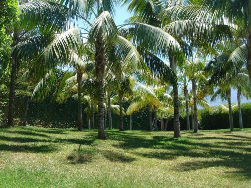 Villa/farmhouse Jardin Botanico