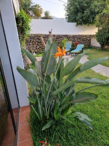 La Casa de Lucy & Karin
