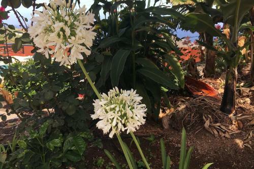Apartamento Finca La Romera