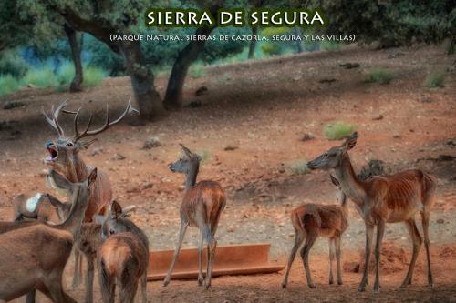 Agroturismo La Vieja Parra