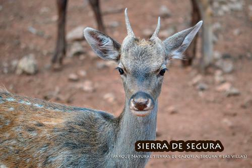 Agroturismo La Vieja Parra