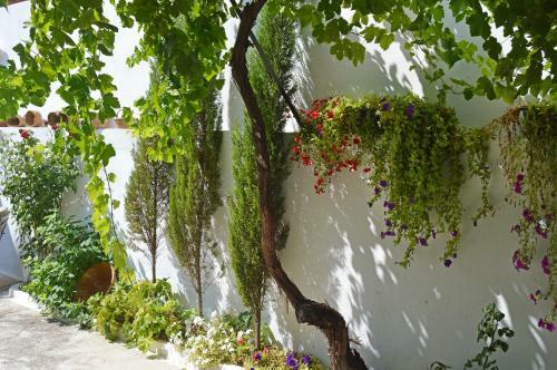 Agroturismo La Vieja Parra