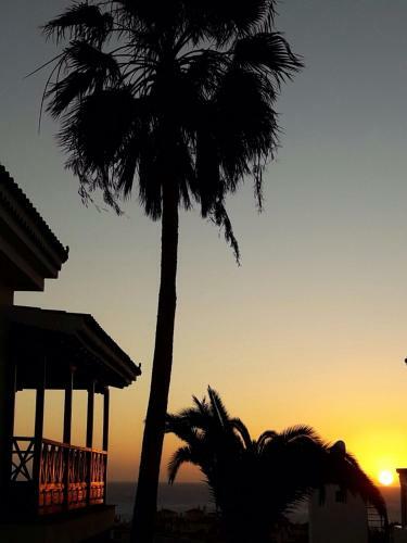 Apartamento Estrella Del Mar Amazing Loft Casa Cosy